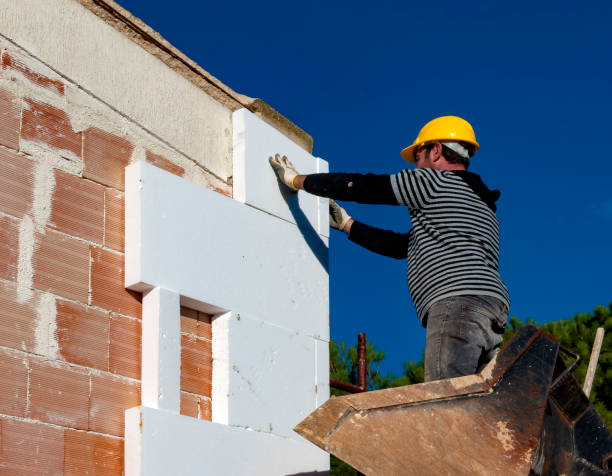 Best Cellulose Insulation  in Mansfield, MO