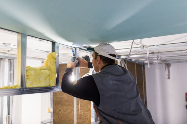 Best Wall Insulation Contractor  in Mansfield, MO