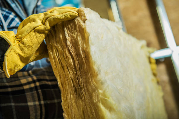 Best Energy-efficient Insulation  in Mansfield, MO