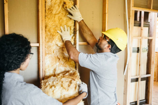 Best Attic Insulation Installation  in Mansfield, MO