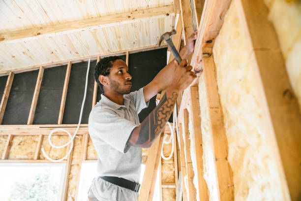 Best Spray Foam Insulation  in Mansfield, MO