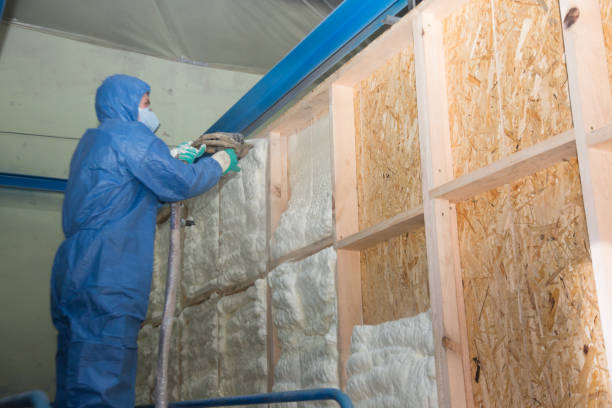 Best Crawl Space Insulation  in Mansfield, MO