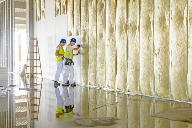 Best Insulation Contractor Near Me  in Mansfield, MO